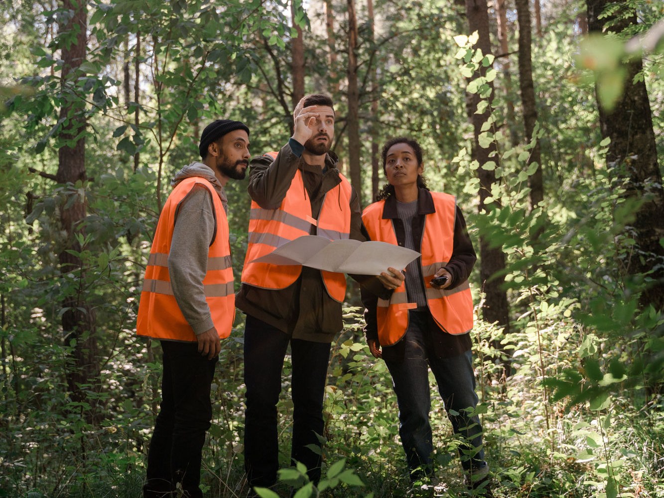 Équipe de terrain en forêt avec plan